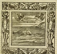 Picture 28 of 36 from Andreae Alciati Emblemata (1621), leaf 795