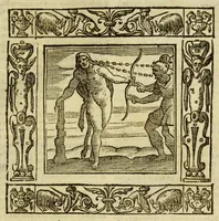 Picture 30 of 36 from Andreae Alciati Emblemata (1621), leaf 835