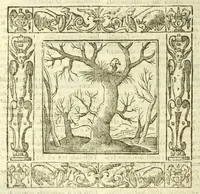Picture 32 of 36 from Andreae Alciati Emblemata (1621), leaf 908