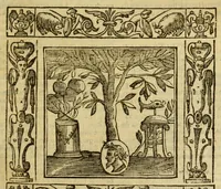 Picture 35 of 36 from Andreae Alciati Emblemata (1621), leaf 965