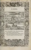 Picture 21 of 55 from Emblemata (1551), leaf 101