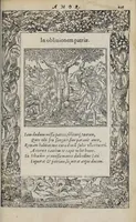 Picture 28 of 55 from Emblemata (1551), leaf 131