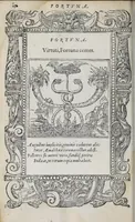 Picture 30 of 55 from Emblemata (1551), leaf 136