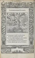 Picture 31 of 55 from Emblemata (1551), leaf 142