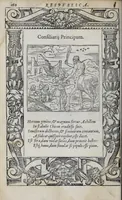 Picture 39 of 55 from Emblemata (1551), leaf 166