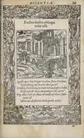 Picture 48 of 55 from Emblemata (1551), leaf 199