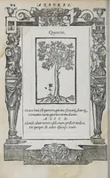 Picture 51 of 55 from Emblemata (1551), leaf 220