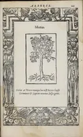 An illustration from Emblemata (1551)