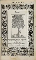 Picture 55 of 55 from Emblemata (1551), leaf 231