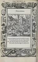 Picture 4 of 55 from Emblemata (1551), leaf 32