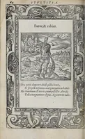 Picture 10 of 55 from Emblemata (1551), leaf 70