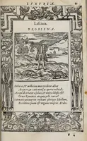 Picture 18 of 55 from Emblemata (1551), leaf 93