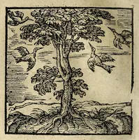 Picture 19 of 51 from Emblemata (1608), leaf 102