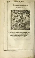 An illustration from Emblemata (1608)