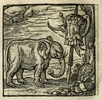 Picture 30 of 51 from Emblemata (1608), leaf 154