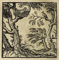 An illustration from Emblemata (1608)
