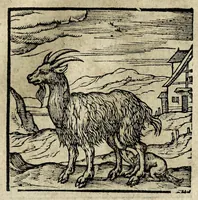 Picture 16 of 51 from Emblemata (1608), leaf 93