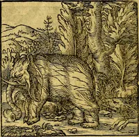 An illustration from Emblemata (1565)