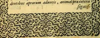 An illustration from Emblemata (1565)