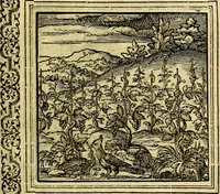 An illustration from Emblemata (1565)
