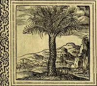 An illustration from Emblemata (1565)