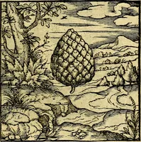 An illustration from Emblemata (1565)