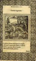An illustration from Emblemata (1565)