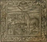 Picture 138 of 223 from Emblemata (1564), leaf 171