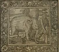 Picture 156 of 223 from Emblemata (1564), leaf 189