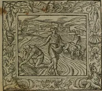 Picture 171 of 223 from Emblemata (1564), leaf 204