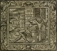 Picture 180 of 223 from Emblemata (1564), leaf 214