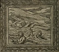 Picture 181 of 223 from Emblemata (1564), leaf 215