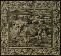 Picture 14 of 223 from Emblemata (1564), leaf 27