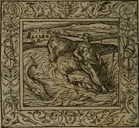 Picture 34 of 223 from Emblemata (1564), leaf 47