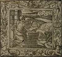 Picture 70 of 223 from Emblemata (1564), leaf 89