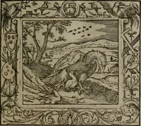 Picture 76 of 223 from Emblemata (1564), leaf 98