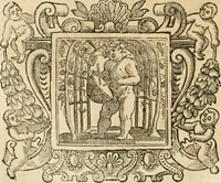Picture 37 of 232 from Emblemata (1661), leaf 221