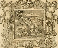 Picture 46 of 232 from Emblemata (1661), leaf 273