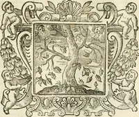 Picture 54 of 232 from Emblemata (1661), leaf 302