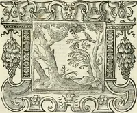 Picture 73 of 232 from Emblemata (1661), leaf 358