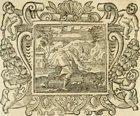Picture 78 of 232 from Emblemata (1661), leaf 375