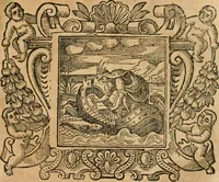 Picture 87 of 232 from Emblemata (1661), leaf 416