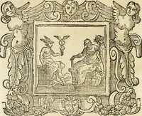 Picture 114 of 232 from Emblemata (1661), leaf 497