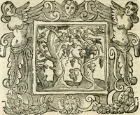 Picture 116 of 232 from Emblemata (1661), leaf 503