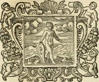 Picture 129 of 232 from Emblemata (1661), leaf 556