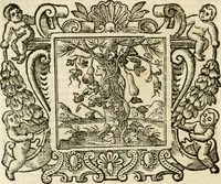 Picture 140 of 232 from Emblemata (1661), leaf 621