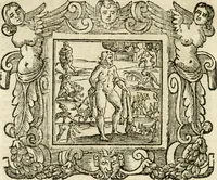 Picture 154 of 232 from Emblemata (1661), leaf 675