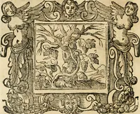 Picture 176 of 232 from Emblemata (1661), leaf 759