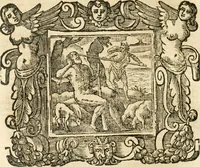 Picture 188 of 232 from Emblemata (1661), leaf 801