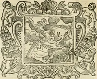 Picture 198 of 232 from Emblemata (1661), leaf 841